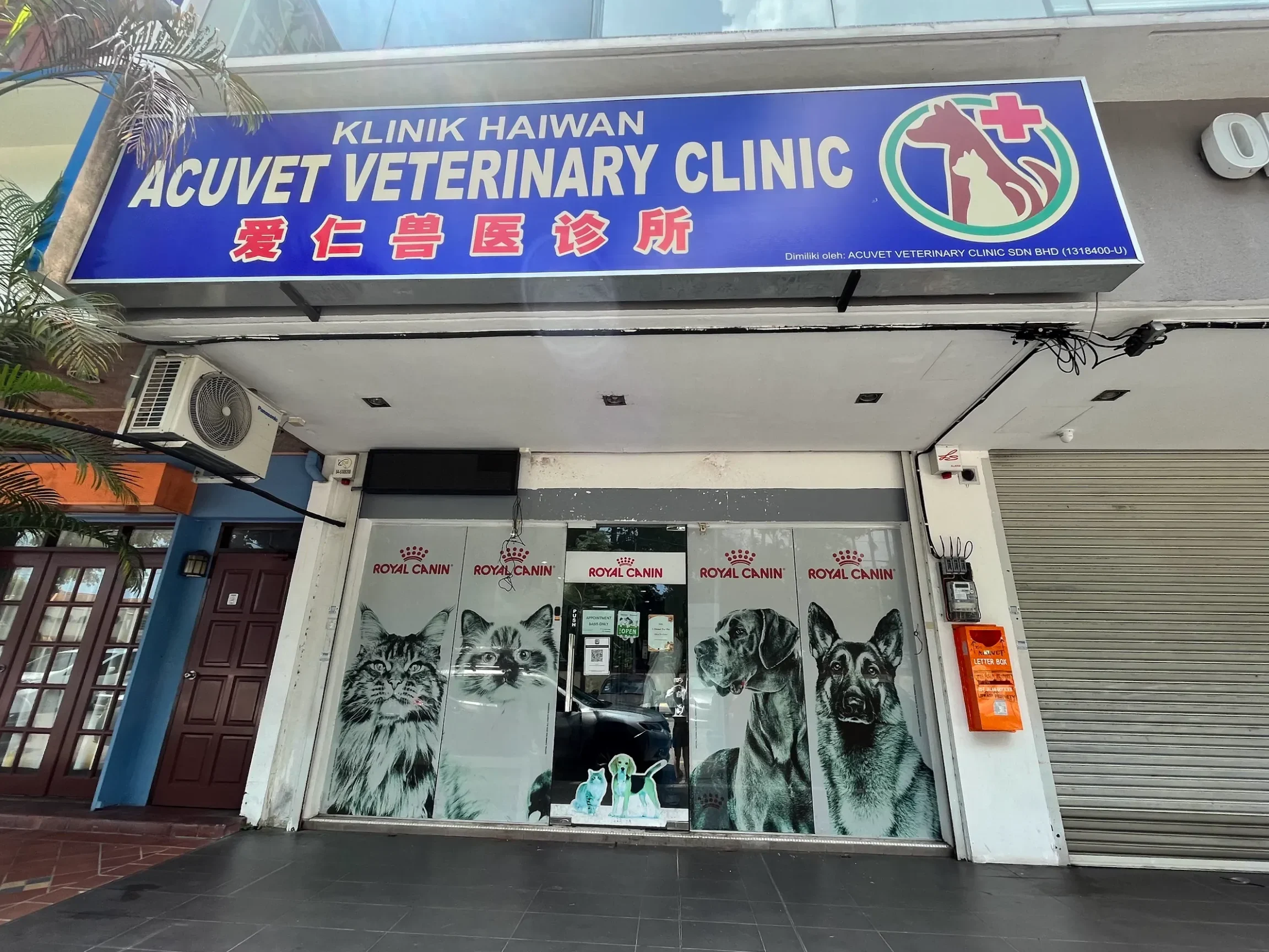 acuvet veterinary clinic golden triangle 2
