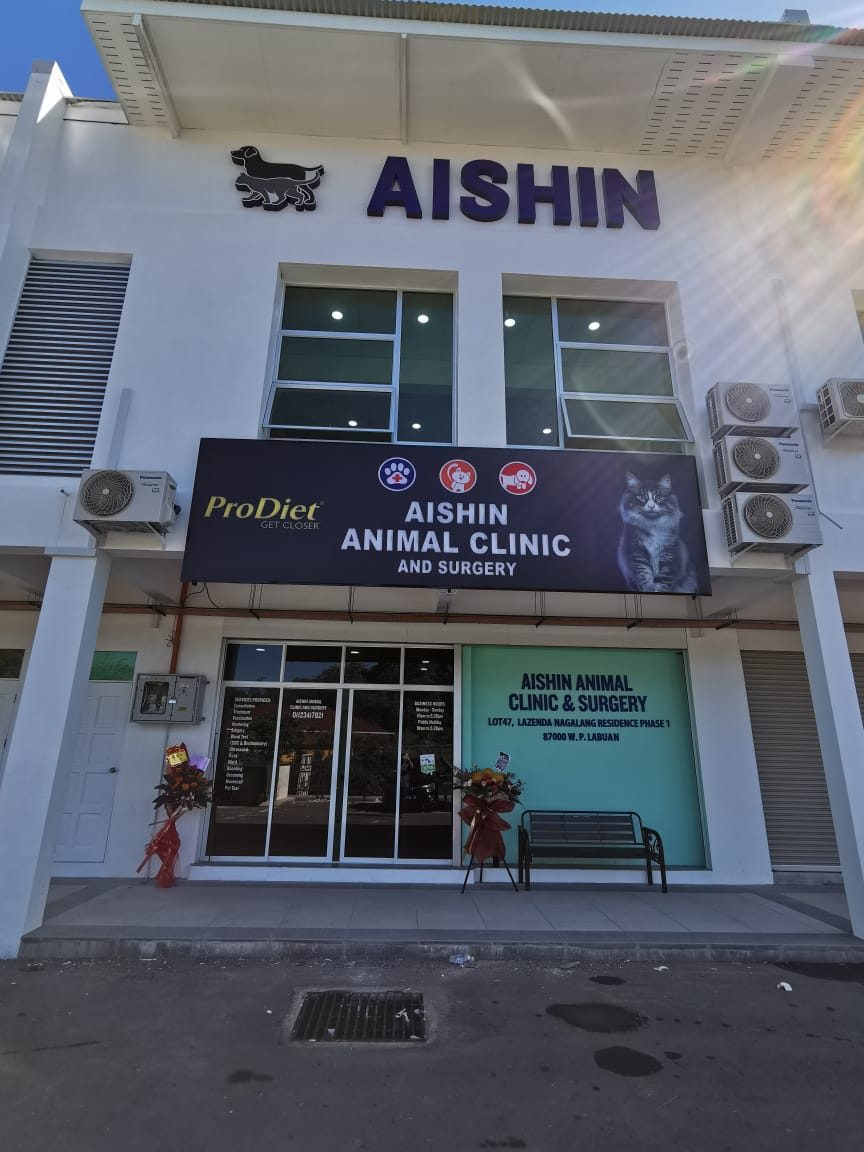 aishin animal clinic and surgery