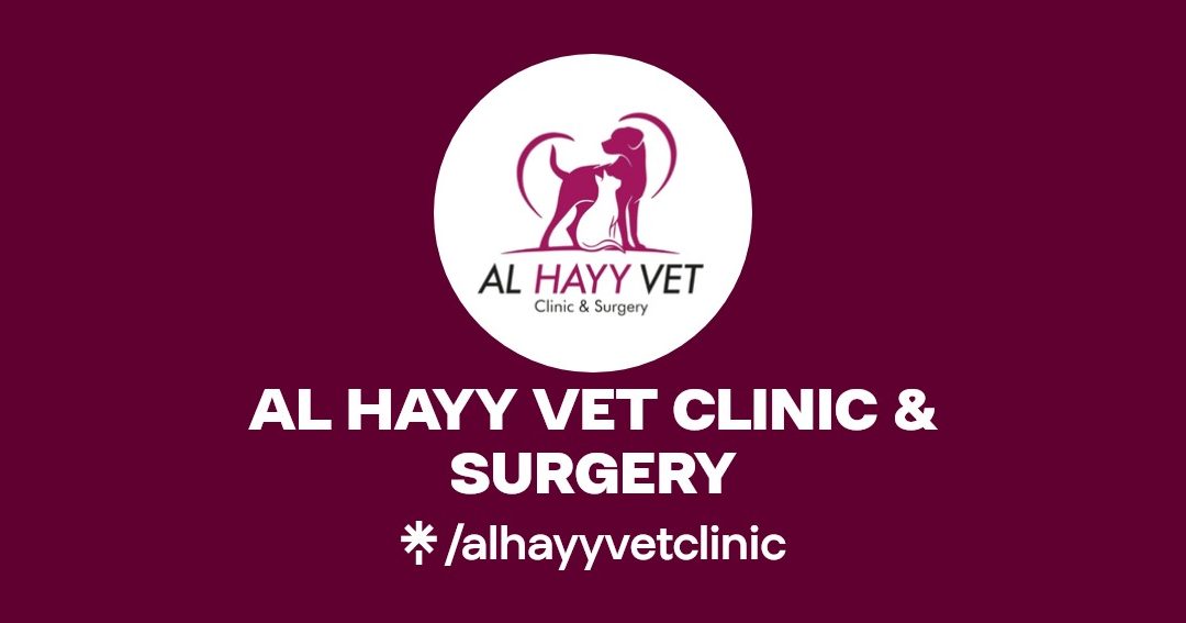 al hayy vet clinic and surgery