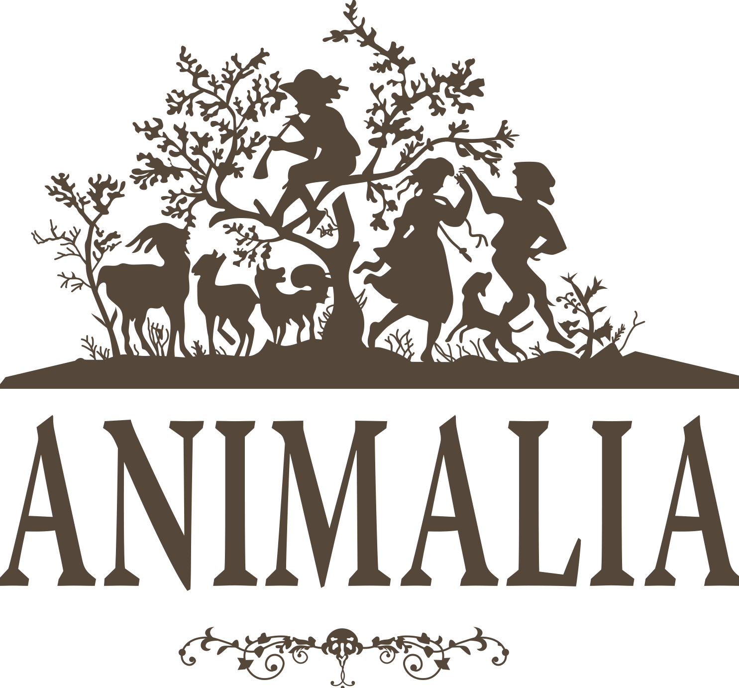animalia veterinary clinic