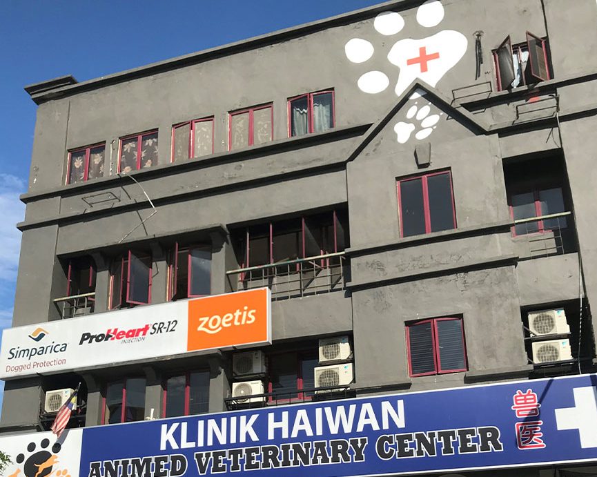 animed veterinary center balakong