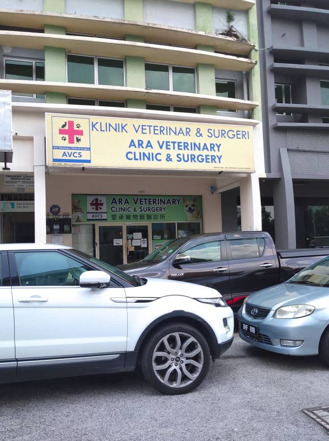 ara veterinary clinic surgery