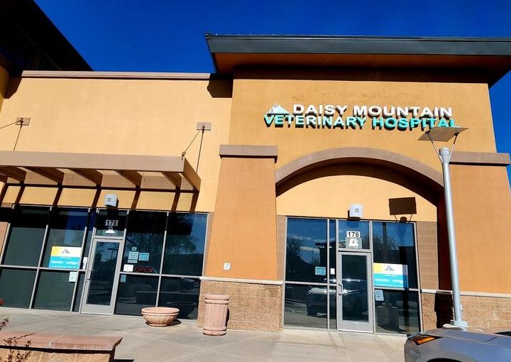az veterinary denai alam