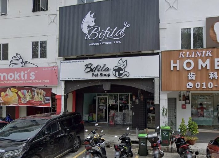 bifila pet shop x bifila premium cat hotel spa