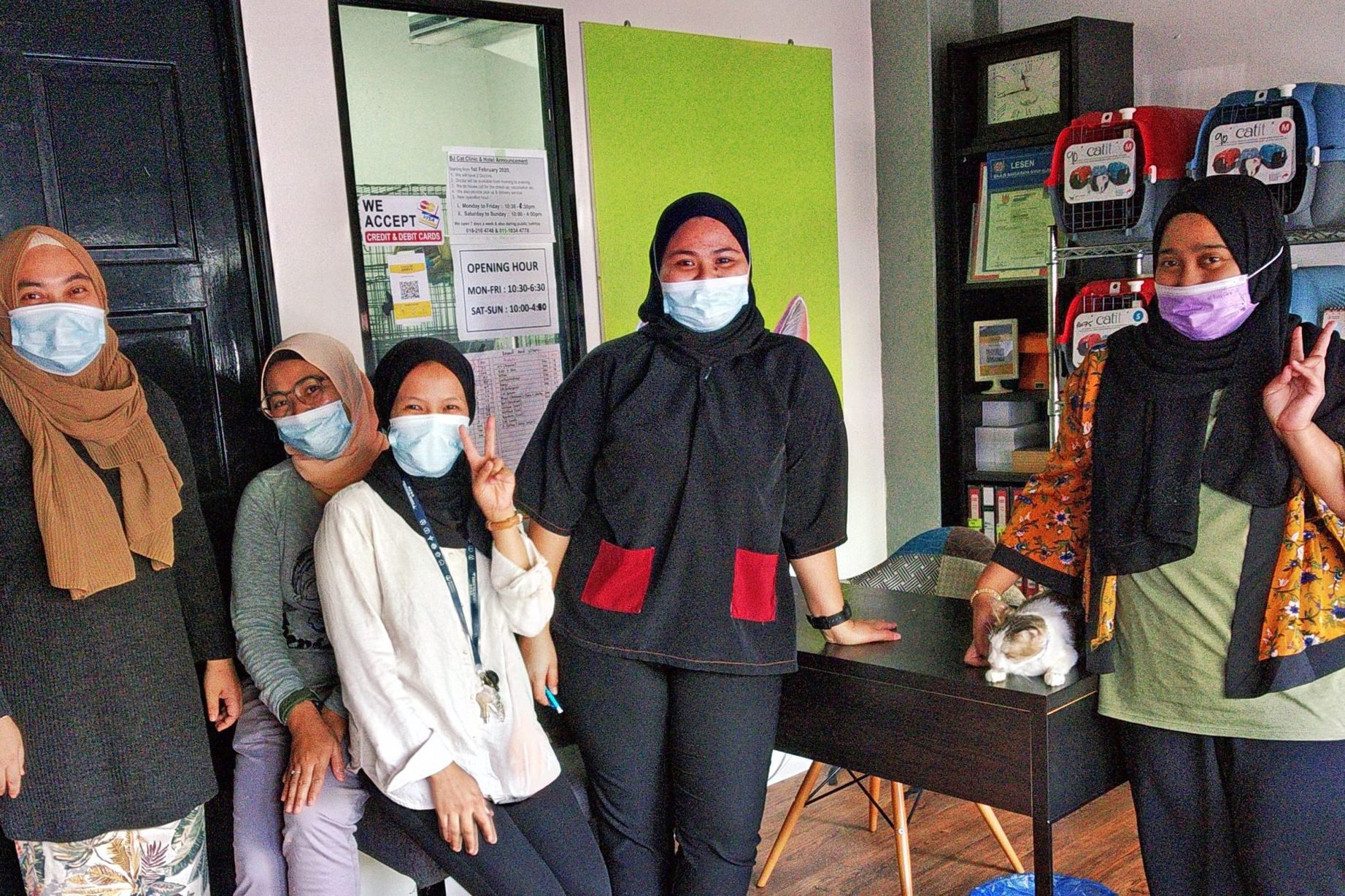 bj cat clinic
