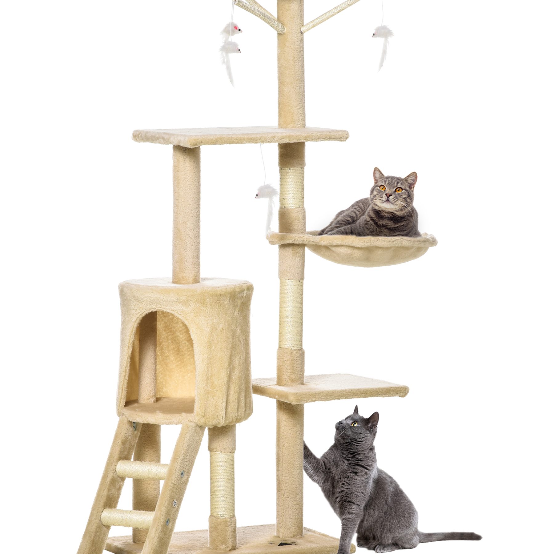 boboy cat centre jerantut