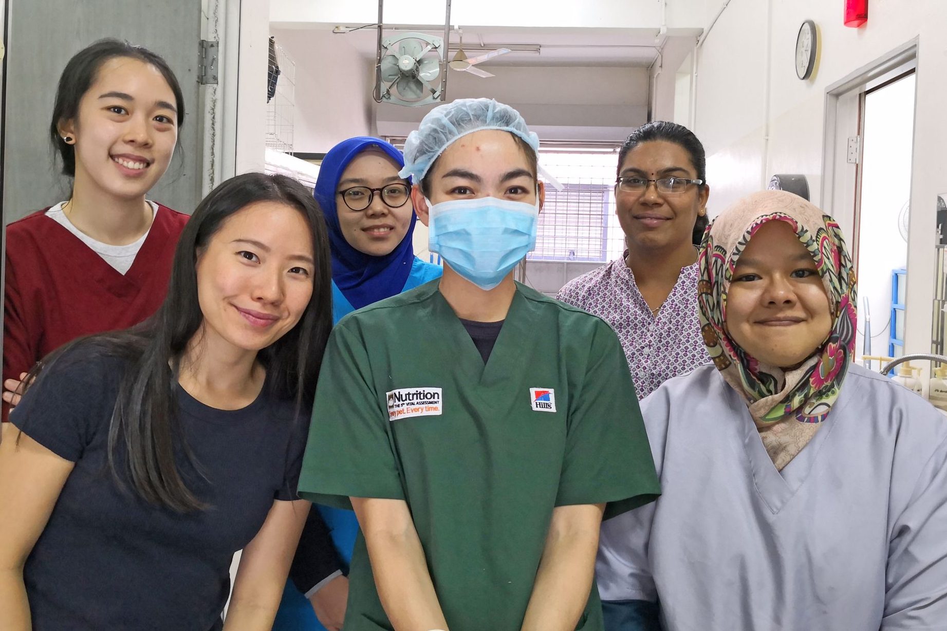 brp animal clinic surgery