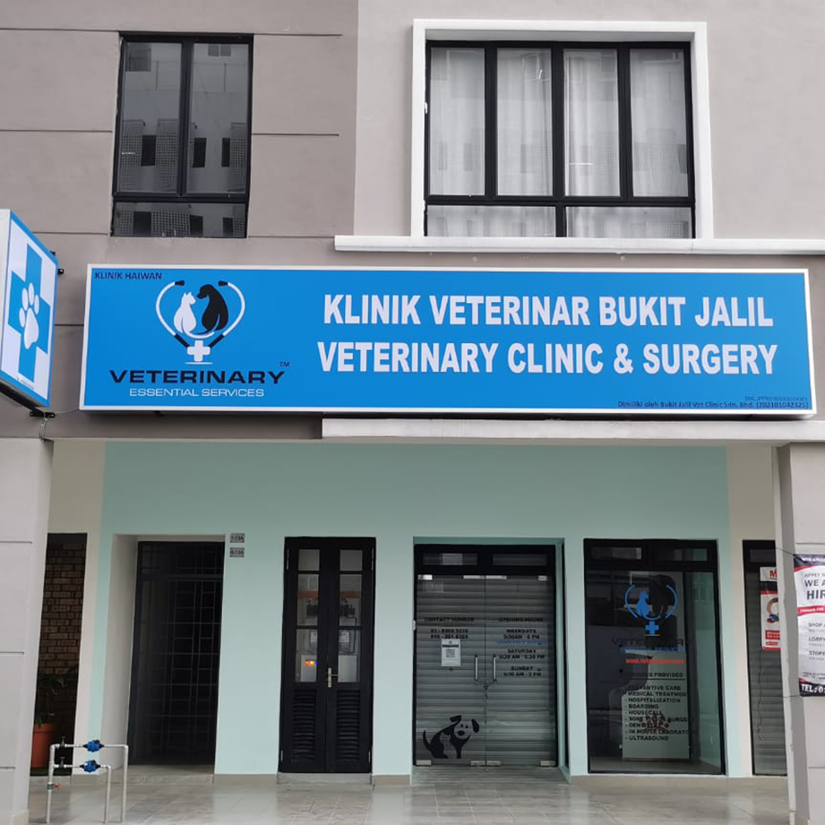 bukit jalil veterinary clinic surgery