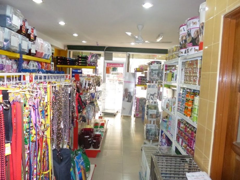 bukit tinggi animal clinic sdn bhd e9bb84e585bde58cbb