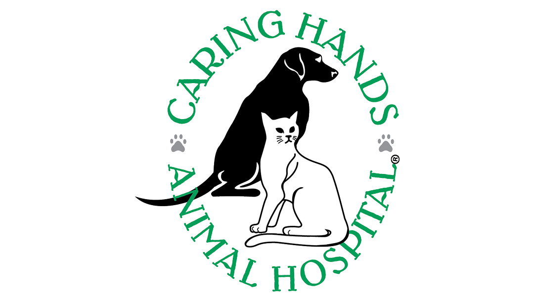 caring veterinary centre