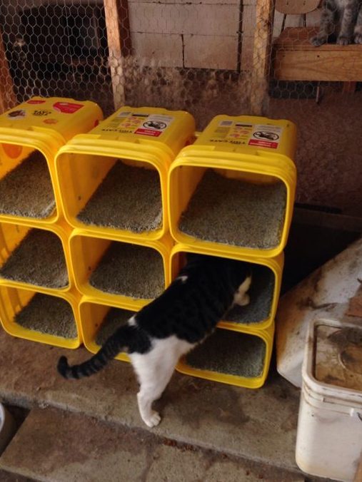 Cat Bucket Cathouse 1 cat bucket cathouse