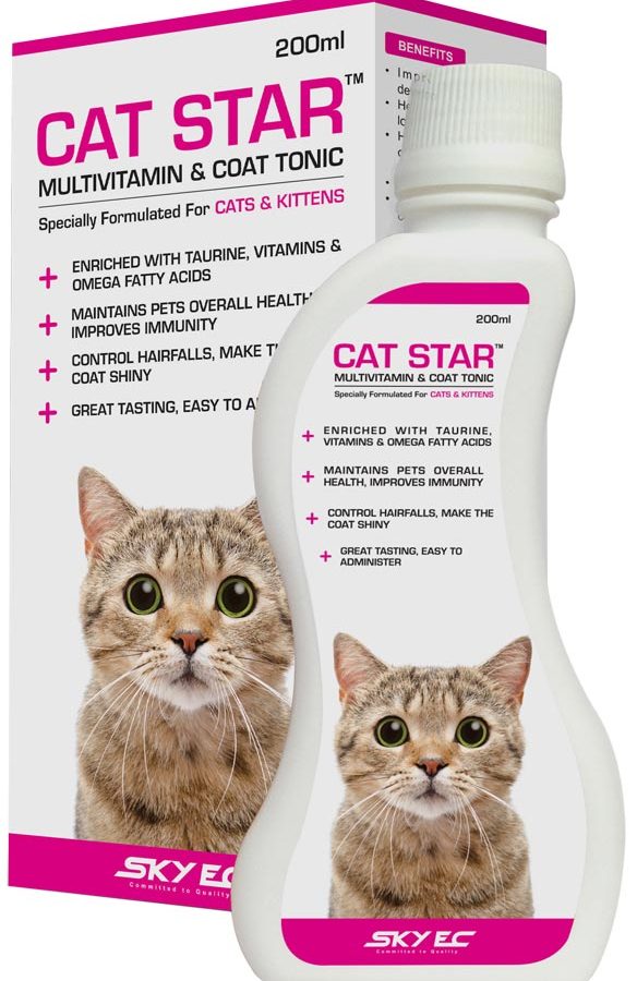 cat star