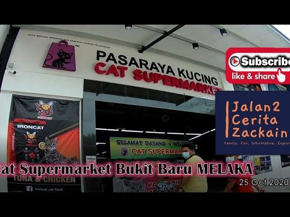 cat supermarket bukit barumalacca pasaraya kucing bukit barumelaka