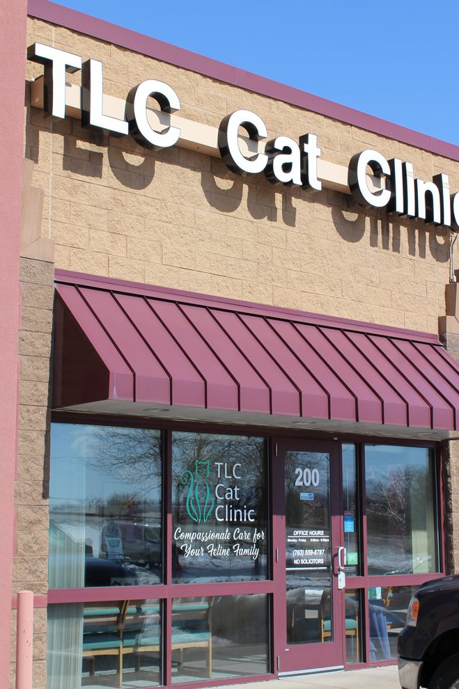 Catlap Veterinary Clinic 1 catlap veterinary clinic