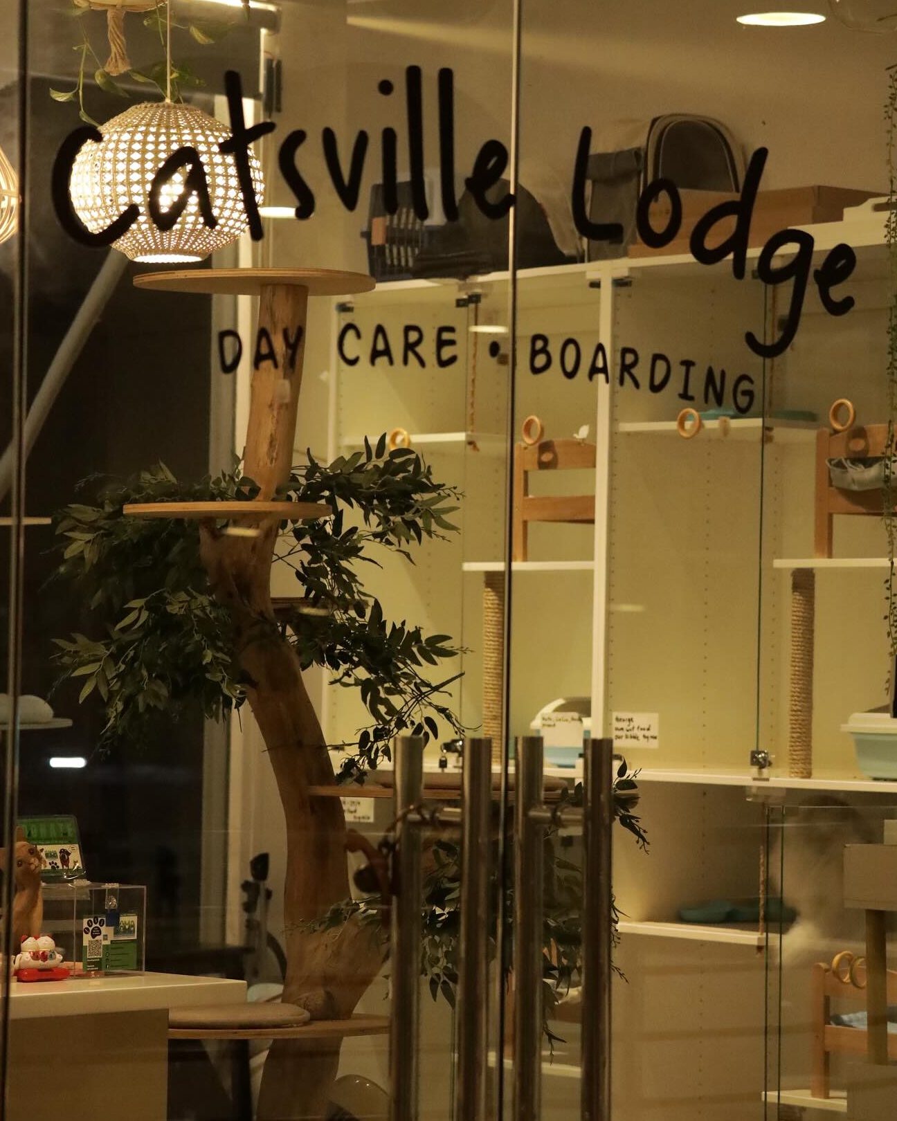 catsville pet shop