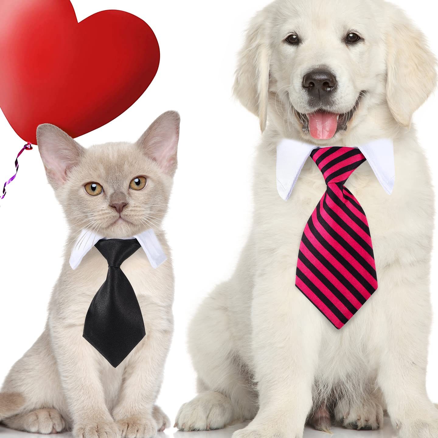 cattie doggie pet shop