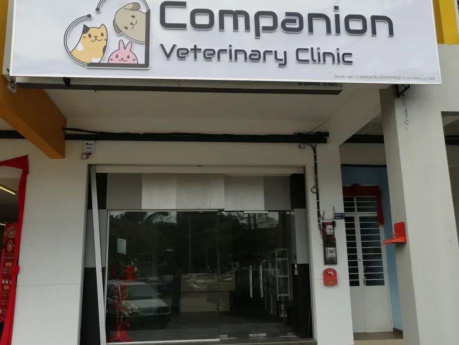companion veterinary clinic melaka klinik haiwan companion melaka e9a9ace585ade794b2e5908ce4bcb4e585bde58cbbe8af8ae68980