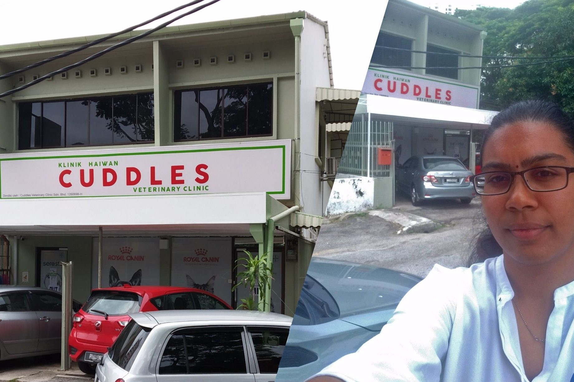 cuddles veterinary clinic