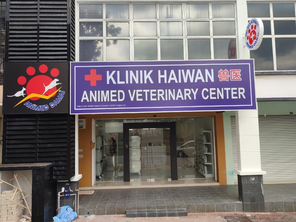 damai veterinary clinic
