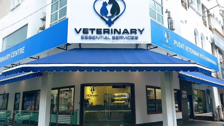 damansara heights veterinary clinic