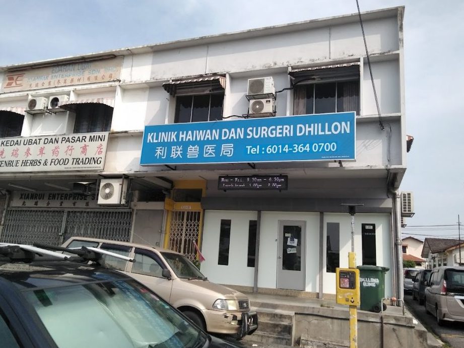 dhillons animal clinic surgery