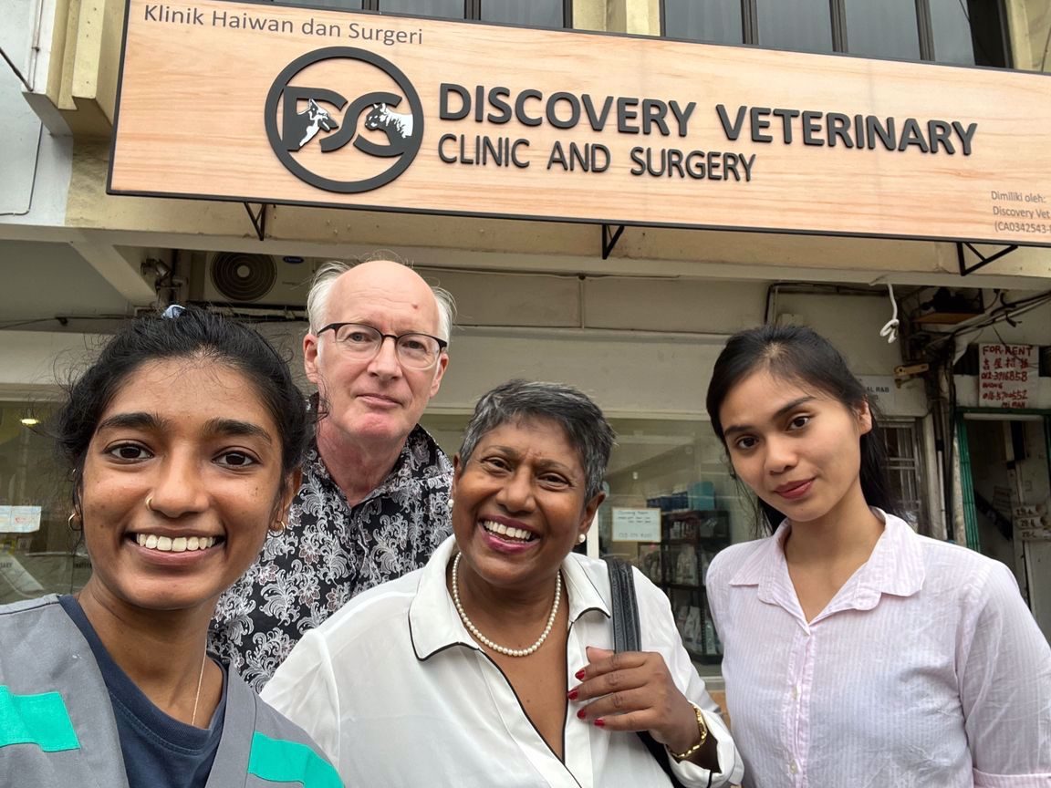 discovery veterinary clinic and surgery
