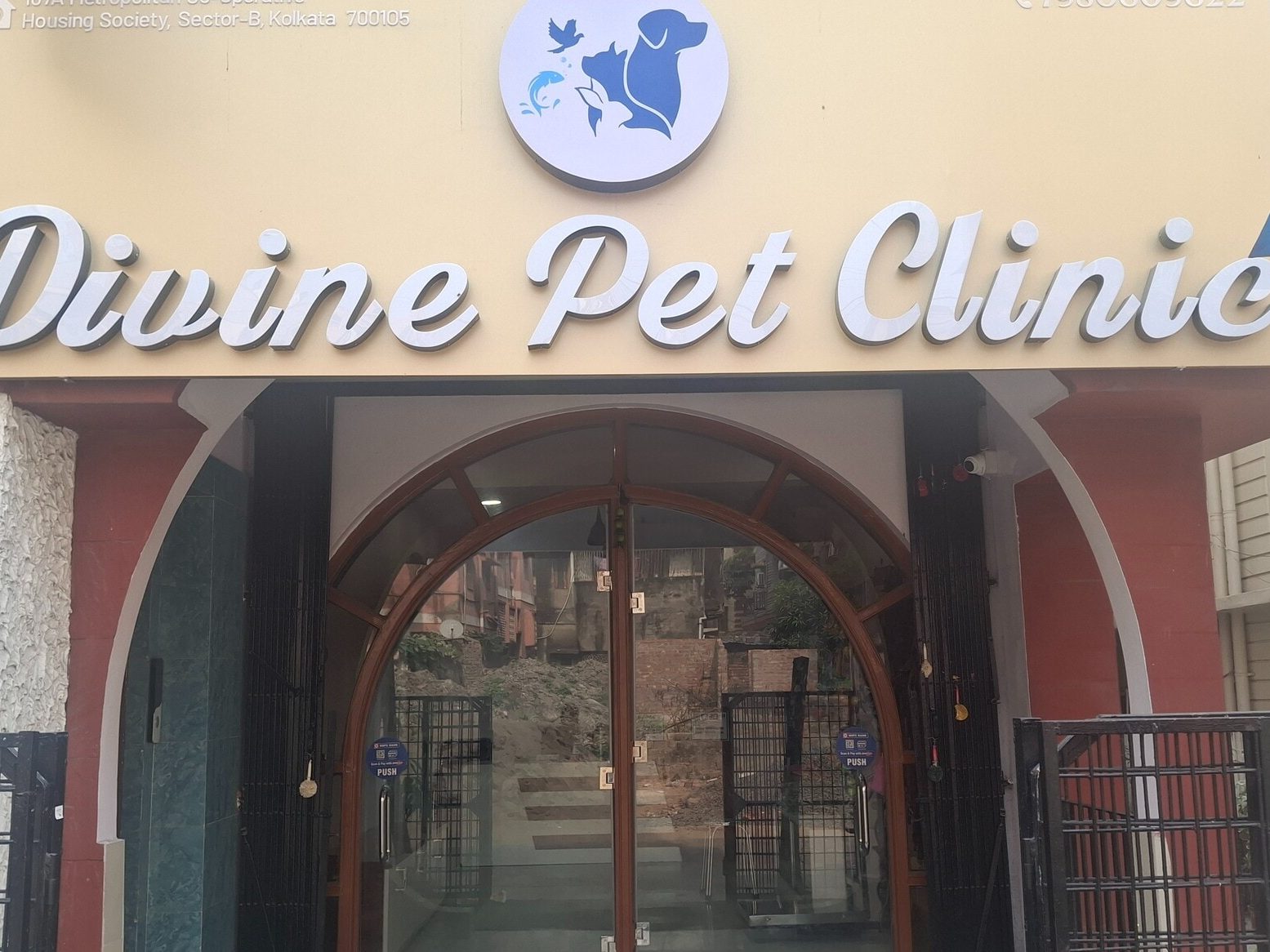 divine pets clinic