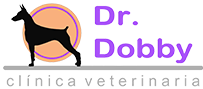 dobby veterinary clinic