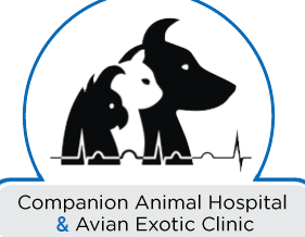els veterinary centre companion avian exotic medicine surgery