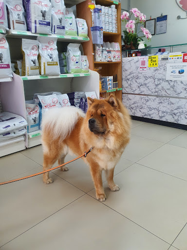 Ohana Veterinary Clinic & Surgery (Taman Equine)