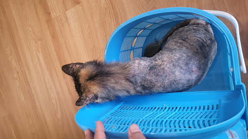 Raiqa Veterinary Clinic (Klinik Veterinar)