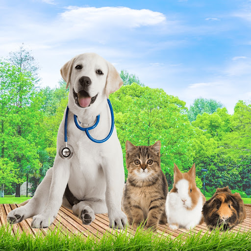 AISHIN BEAUFORT ANIMAL CLINIC & SURGERY