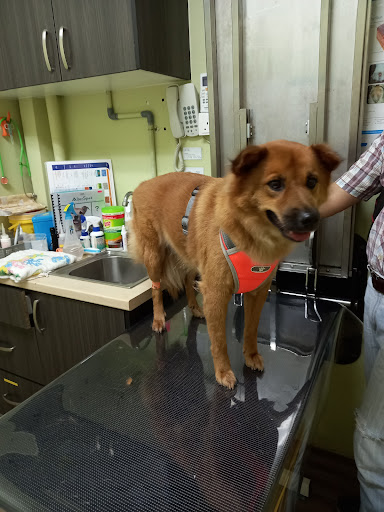 BDC Veterinary Clinic