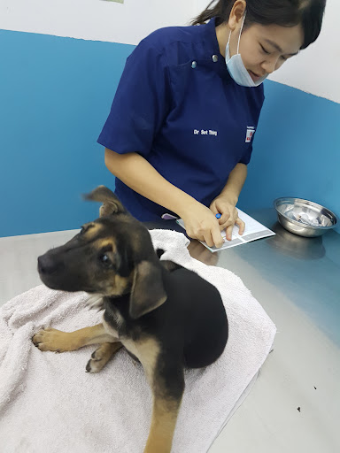 Shakalaka Vet Care And Surgery
