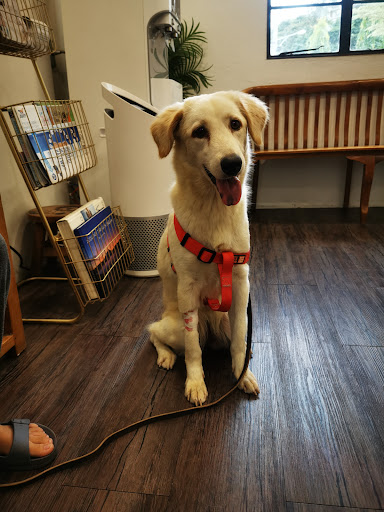 Loch 11 Animal Clinic