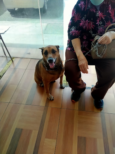 Kinabalu Animal Clinic