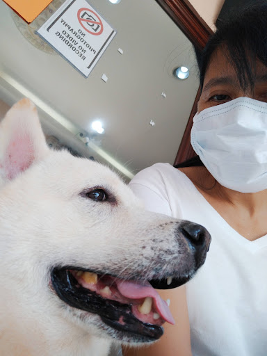 Sabah Animal Medical Centre