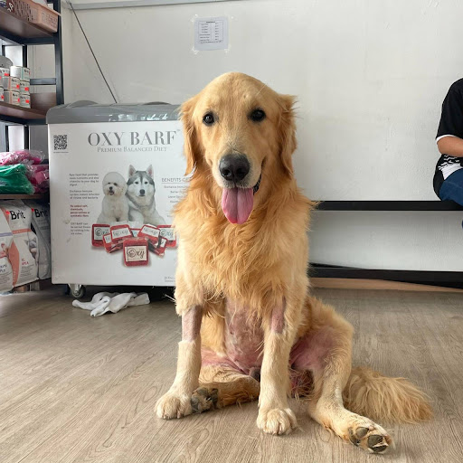 Pawland Veterinary Clinic