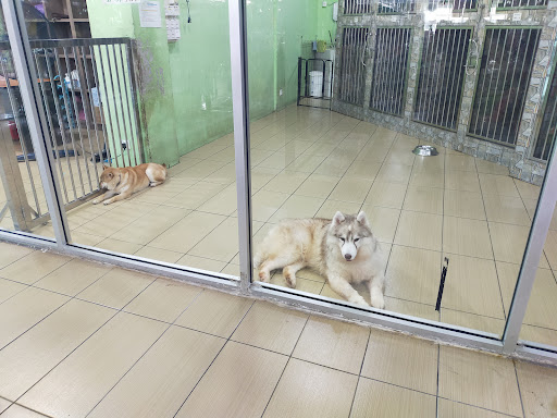 Harvest Fish & Pet SDN BHD