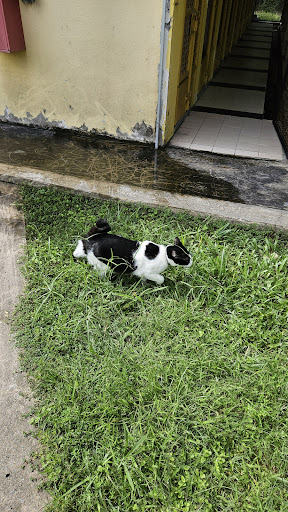 Kinarut Veterinary Quarantine