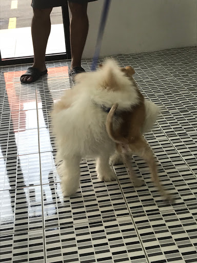 SUNRIZ VETERINARY CLINIC & SURGERY