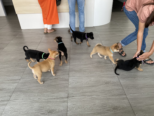 Noah's Ark Veterinary Clinic