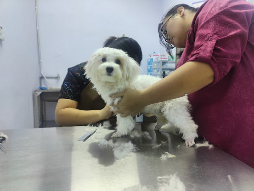 Friendly Animal Clinic Telipok