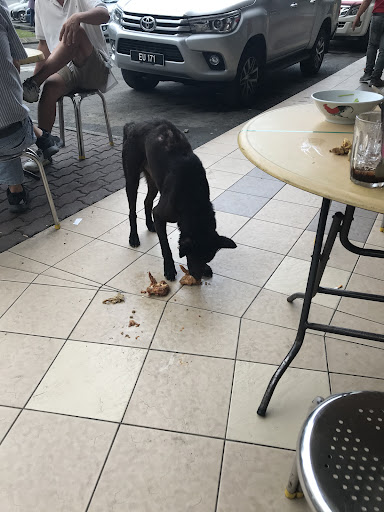 SPCA KK Rehabilitation And Adoption Centre