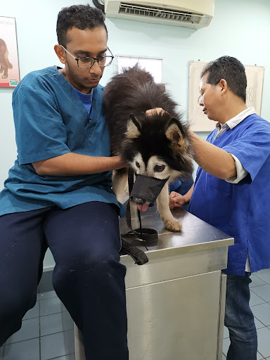 Segar Veterinary Hospital