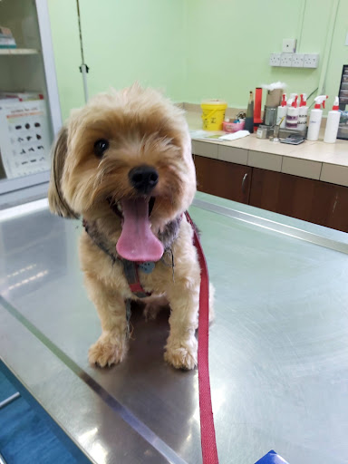 Hospital Veterinar Kuala Lumpur