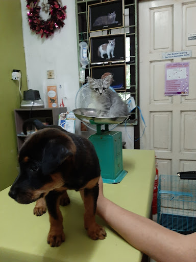 LEE VETERINARY HOSPITAL