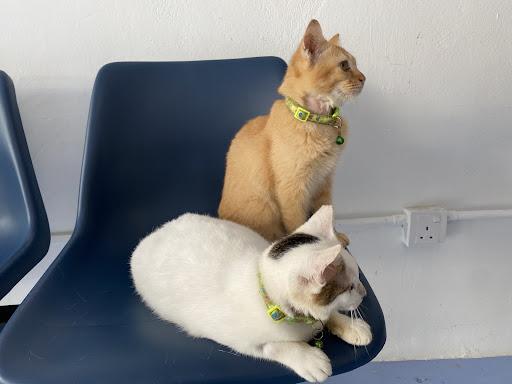 Petlife Veterinary Clinic (MetroCity Branch)