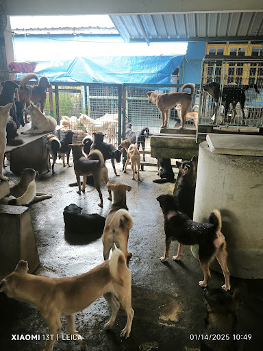 Sarawak Society For The Prevention Of Cruelty To Animals