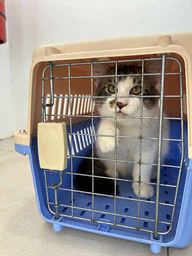 Grace Veterinary Clinic